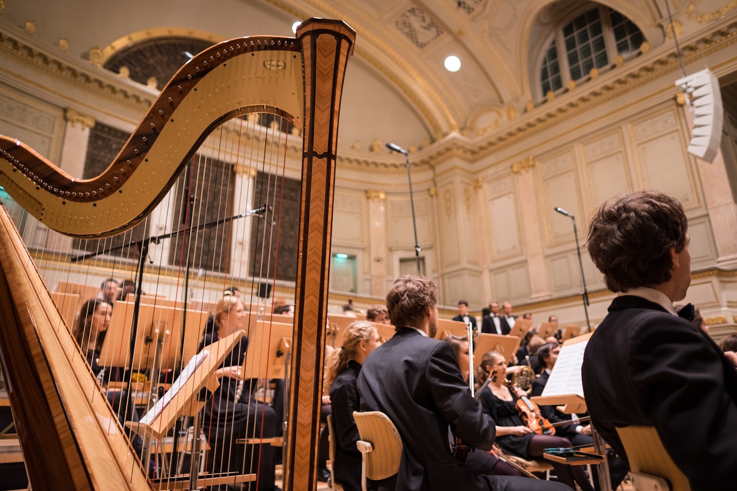 Un'orchestra si esibisce in una grande sala da concerto dalla prospettiva di un arpista.